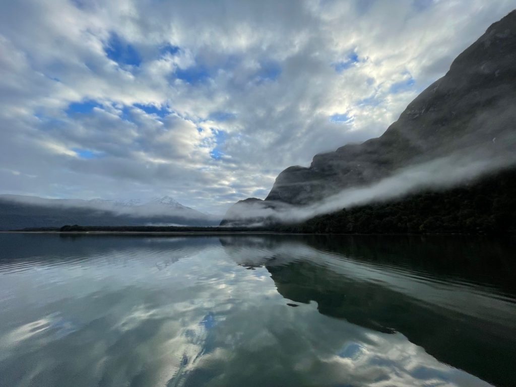 Chile avanza en la conservación del océano: Se crea Parque Marino Tic Toc-Golfo Corcovado