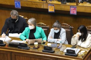 Senado despacha a tercer trámite el proyecto que establece el Bono Extraordinario Chile Apoya de Invierno