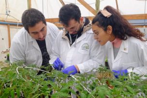 Proponen soluciones basadas en la ciencia para contribuir a una agricultura sustentable