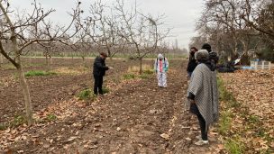 Un centenar de agricultores de la Región Metropolitana ya han sido capacitados para obtener credencial de aplicadores de plaguicidas durante este año