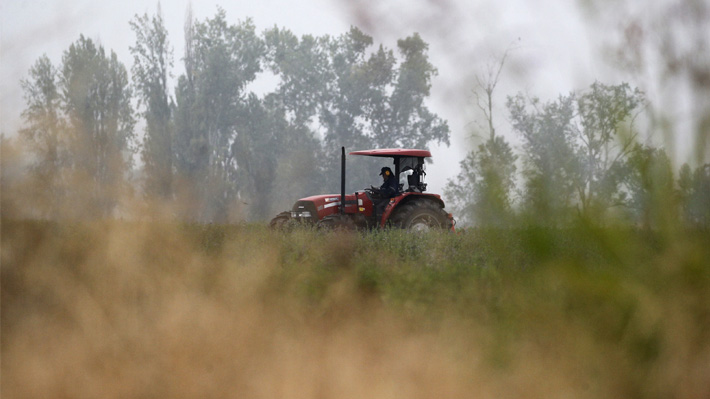 Suspensión de parcelaciones rurales: Gestores de loteos advierten impacto “gigantesco” y alertan alzas en precios de terrenos
