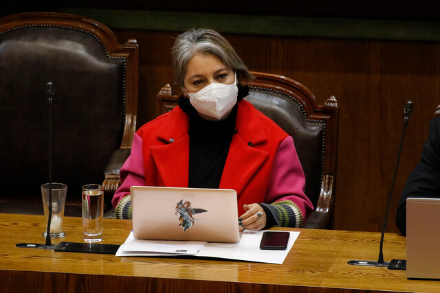 Ministra Jara: “Dificulto que una persona pueda inclinarse para votar o no en función de un bono”