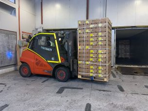 Supervisan primer trasvasije de fruta fresca argentina en Sitio de Transferencia autorizado por SAG y SENASA Argentina