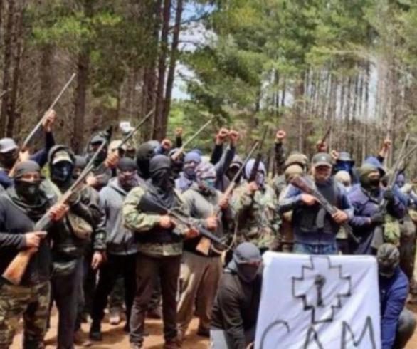 CAM se toma dos fundos en Carahue en el marco del “proceso de recuperación y expulsión de las forestales”
