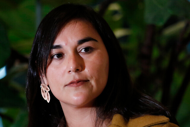 Ministra Siches llama a no sacar réditos políticos por detención de Llaitul y afirma: “El Estado de Derecho en nuestro país funciona”