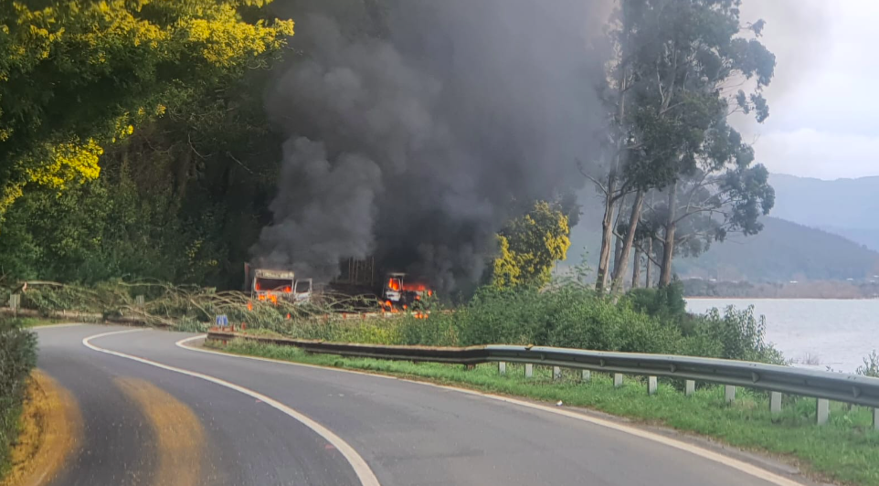 Región de Biobío: Reportan nuevo ataque incendiario contra dos camiones en ruta de Contulmo