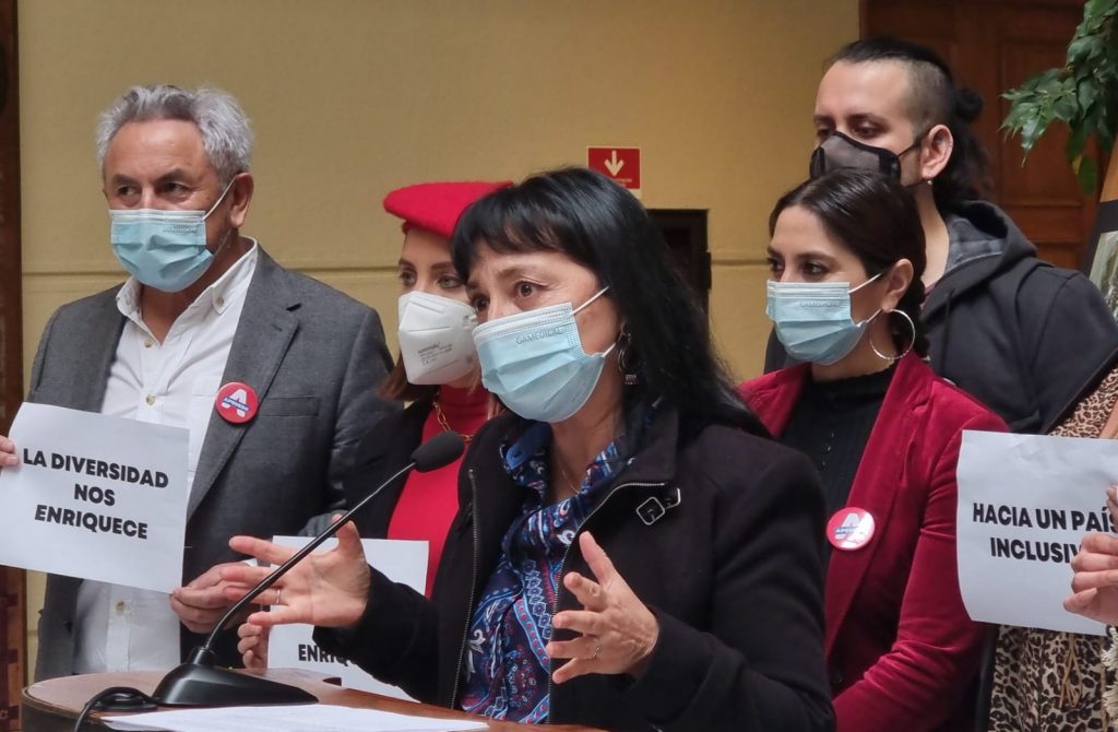 Diputada Marzán presentó proyecto para eliminar las palabras “loco o demente” de la normativa nacional