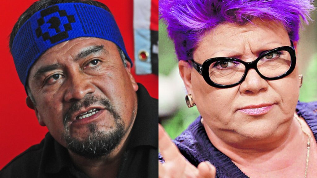 La singular teoría de Paty Maldonado tras detención de Héctor Llaitul: “Está más arreglada esta hue…”