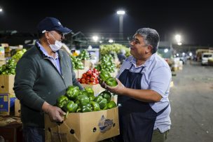 164 pequeños agricultores alcanzan ventas por 17.360 millones de pesos gracias a Convenio Indap-Lo Valledor