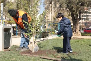 Providencia plantará más de 10.000 árboles en los próximos 2 años