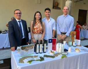 Aceites de oliva chilenos reciben importante reconocimiento en Italia