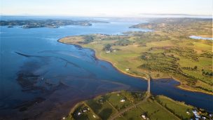 Regiones de Antofagasta y Los Lagos tienen nuevos santuarios de la naturaleza:  Itata Gualaguala y el humedal costero Quilo