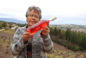 Viñateros de Pachagua ingresarán a Programa de alianza productiva con Indap y Juan Segura Wines