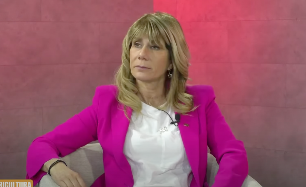 Rincón por la propuesta Constitucional: “Estamos ofreciéndole al país cosas que no vamos a ser capaces de cumplir”