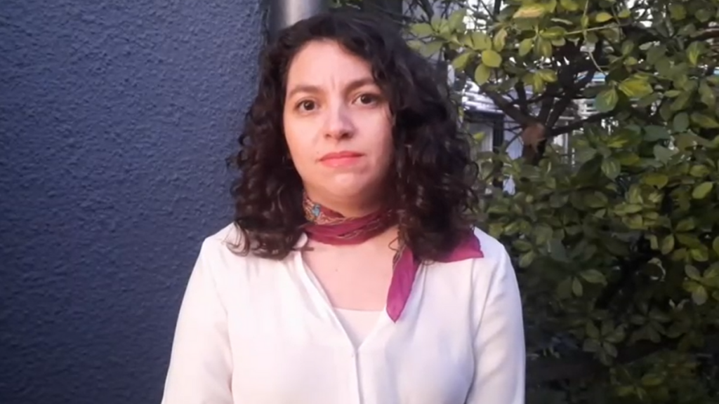 “Toma Vip” en Antofagasta: Ministra de Bienes Nacionales asegura que “no daremos trato privilegiado a nadie”