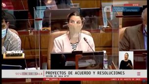 «O se financian por si mismos o son dependientes del Estado»:  Las comentadas declaraciones de la diputada Orsini respecto a la autonomía de Bomberos