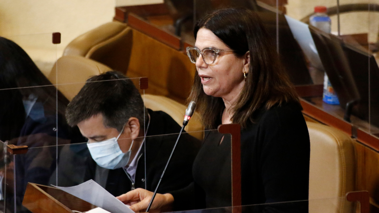 Diputada Ossandón advierte que 