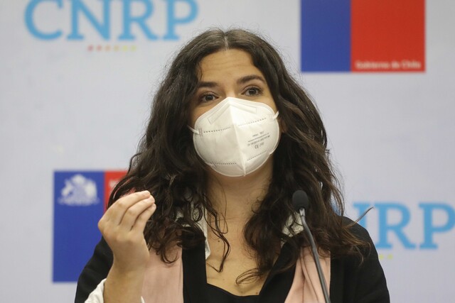 Ministra de la Mujer tras fallo contra Martín Pradenas: “Valoro que el tribunal exprese la necesidad del enfoque de género”