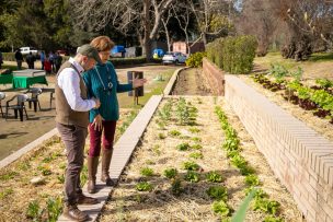 Crece interés por huertos agroecológicos: Jardín Botánico de Viña del Mar inicia construcción de un segundo espacio