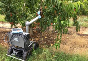 Mecanización de los procesos: la transformación de la fruticultura