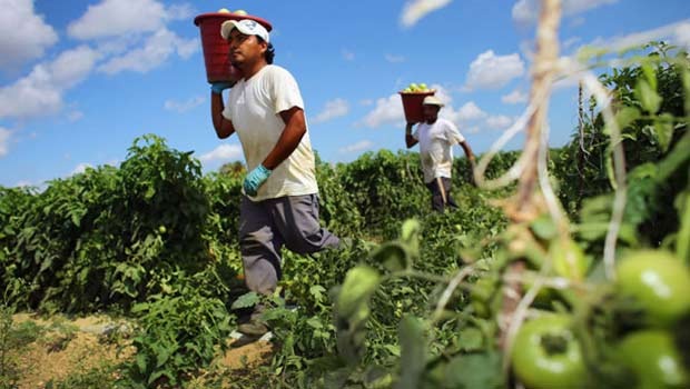 Gremios apoyan moción para elevar cuota de contratación de trabajadores migrantes en el país