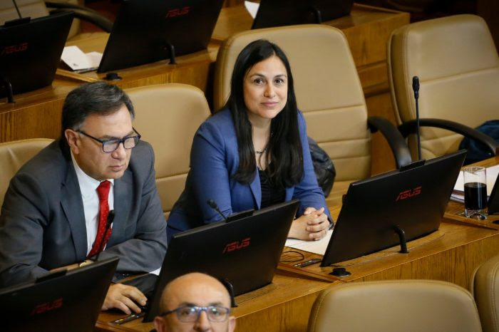Diputada Francesca Muñoz cataloga de “indignantes” los dichos de la ministra Siches por robo de madera