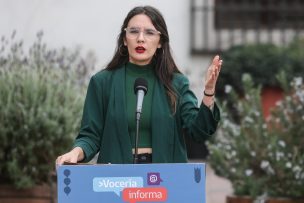 Ministra Vallejo responde a alcaldesa Ripamonti por proyecto Las Salinas: 