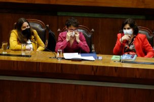 Cámara de Diputados aprueba prórroga del Estado de Excepción en la macrozona sur