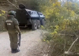 Carabineros realiza despeje de rutas en Malleco: sujetos derriban árboles