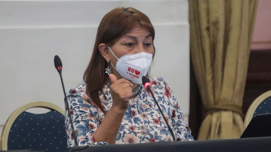 “Me he visto expuesta nuevamente a la opinión pública”: Elisa Loncon desmiente haber participado de supuesta fiesta en hotel de Concepción