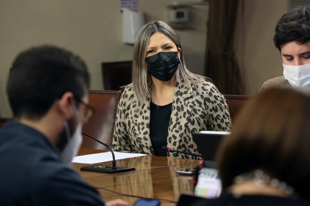 Diputadas UDI: “Aún esperamos una querella de la ministra de la Mujer por agresión en manifestaciones”
