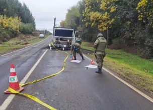 Encapuchados armados queman  camión maderero en La Araucanía