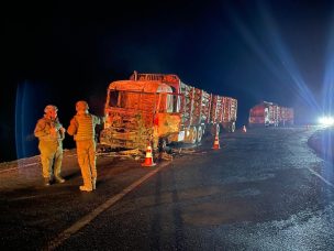 Nuevo ataque incendiario en la región de La Araucanía deja como resultado un conductor herido y dos camiones forestales quemados