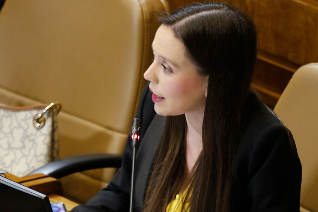 Camila Flores por Presupuesto 2023: “Es bastante poco”