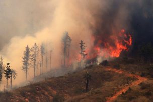 Tiltil: Onemi declaró alerta roja por incendio forestal