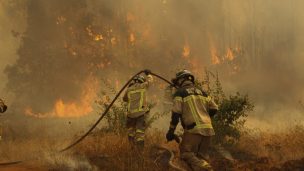 Alerta Roja por incendio forestal para la comuna de Molina