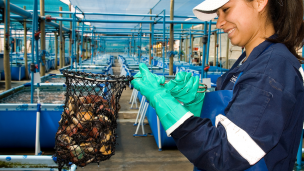 Gobierno lanza programa para apoyar al sector acuicultura de pequeña escala