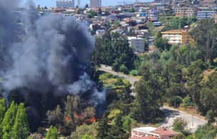 Valparaíso: Incendio forestal deja al menos una casa destruída