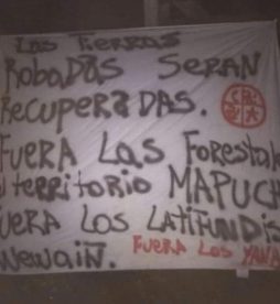 Ataque incendiario en galpón en Cañete: Se encontraron lienzos con consignas mapuches