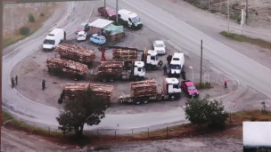 Desbaratan banda criminal dedicada al robo de madera en La Araucanía: Hay 12 detenidos y nueve vehículos incautados