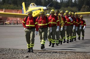 Conaf y Corma anunciaron un plan para combatir incendios forestales para la temporada 2022-2023