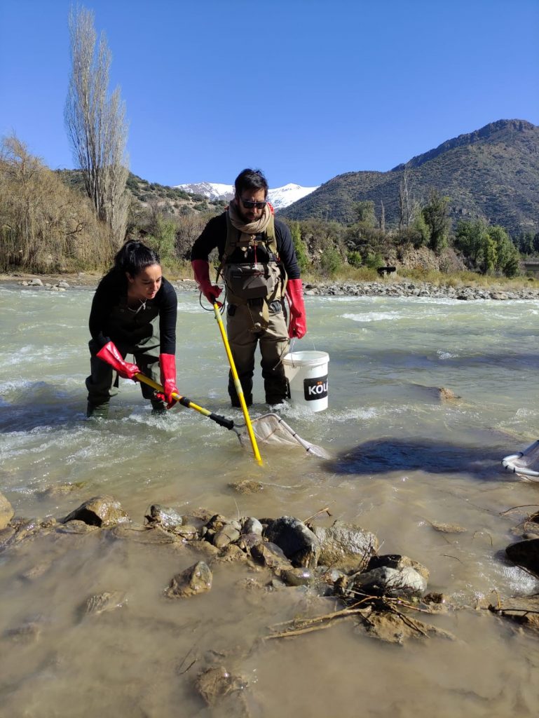 Contaminación química en nuestras aguas: el enemigo invisible