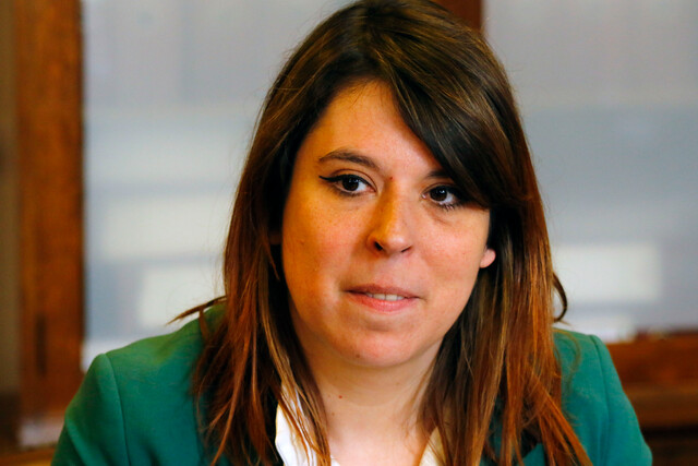 Delegación Presidencial y próximos conciertos: “Se va a reforzar el trabajo con Carabineros en términos de su operatividad”