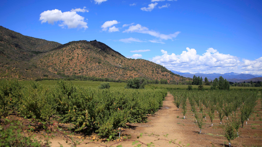 Gobierno evaluará continuidad del estado de emergencia agrícola en el país