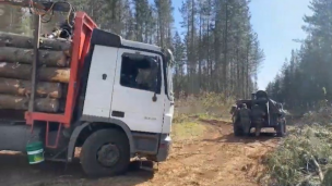 Incautan camión autocargante con madera robada en Victoria