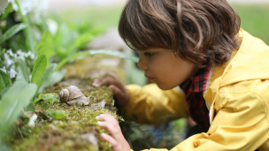 Concientizando desde la infancia: Expertos piden incluir materias climáticas a lo largo de la educación formal