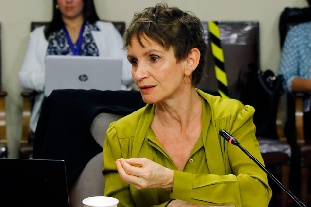 Ministra Tohá y saqueos en Puente Alto: “Es una situación preocupante porque esto quiere decir que se ha desarrollado una estrategia organizada”