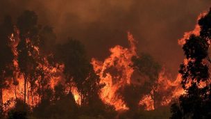 Alerta temprana preventiva para la Región Metropolitana por amenaza de incendio forestal