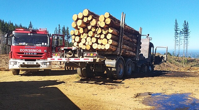 Carabineros ha detenido a más de 2.500 personas por delitos asociados al robo de madera en los últimos seis años