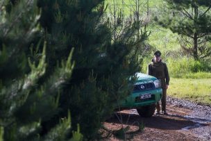 Corte ordena a delegación de Los Lagos proteger fundo por acoso de comunidad mapuche